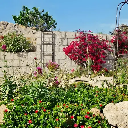 Casa Rosa *